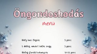 öngondoskodás menü